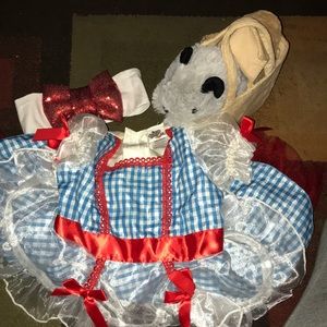 Wizard of Oz Dorothy costume
